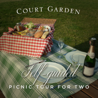 Court Garden Special Picnic for Two
